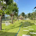 Nhà vườn 1.600m² giá 1 tỷ 790 tại Lâm Đồng - Ảnh thu nhỏ 3