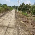 Bán đất nền Lộc Phú 972m², 230 triệu, Bình Chánh - Ảnh thu nhỏ 2
