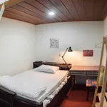 Bán nhà Homestay 4 phòng ngủ 100m2 Phan Chu Trinh Huế 2.3 tỷ - Ảnh thu nhỏ 2