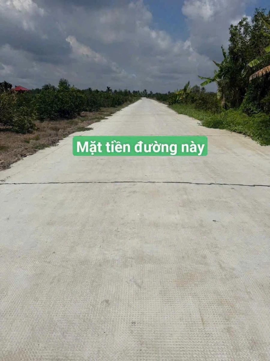 Đất vườn Thạnh Hòa Long An 625m2, 625 triệu - Ảnh 1