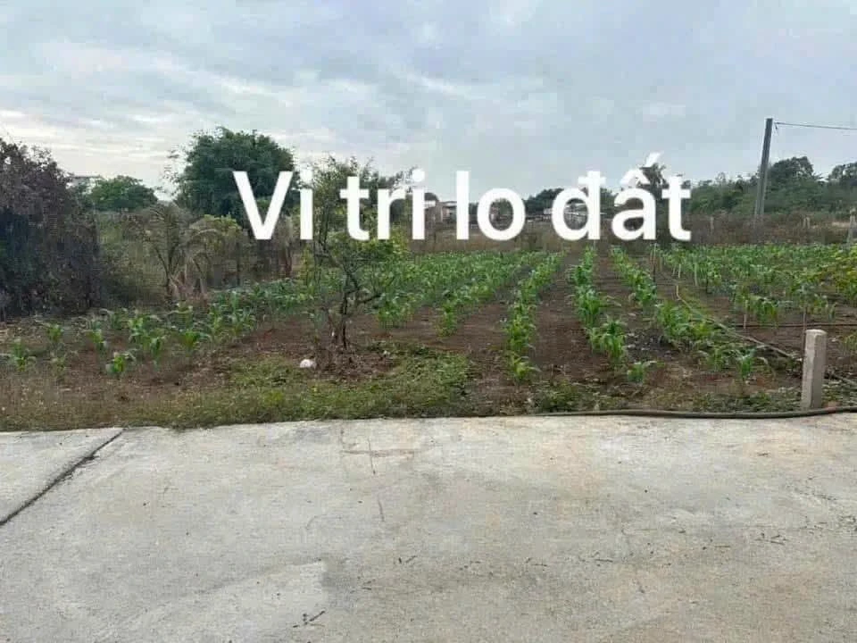 Bán lô đất 240m² Xã Xuyên Mộc, Nhà Bè - Ảnh thu nhỏ 5