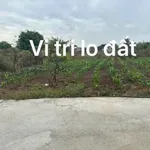 Bán lô đất 240m² Xã Xuyên Mộc, Nhà Bè - Ảnh thu nhỏ 5