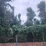 Bán đất 400m² Cao Thắng Ea Kao, giá 1 tỷ 3 - Ảnh thu nhỏ 2