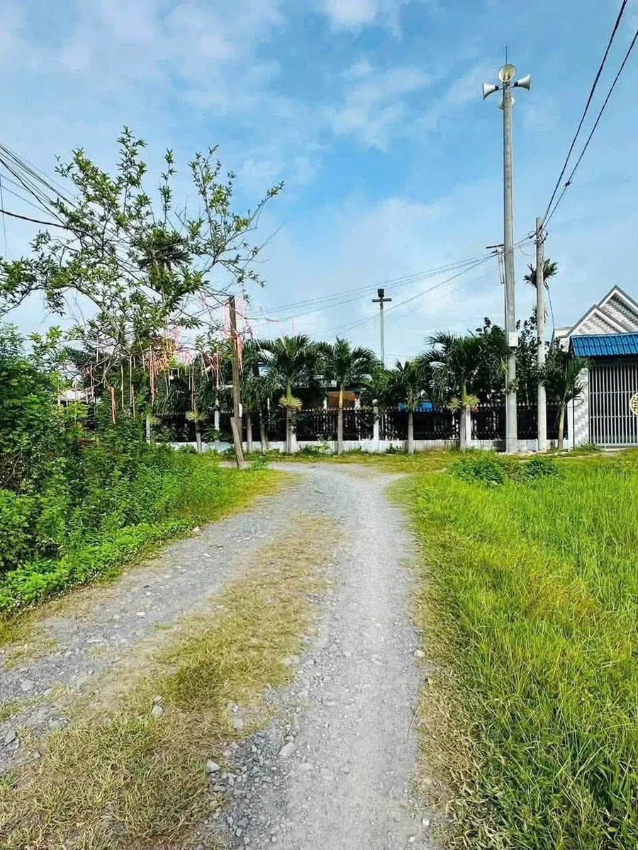 Bán đất 8,5x23m nở hậu Quận 12 giá 1 tỷ 250 - Ảnh thu nhỏ 3