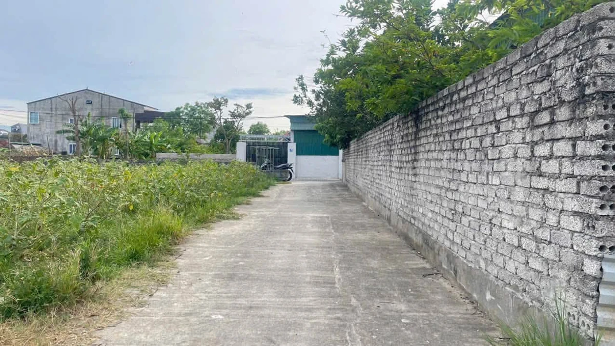 Bán đất nền 73,3m² Vinh Hưng, Thành phố Vinh, 1 tỷ 90 triệu - Ảnh thu nhỏ 3