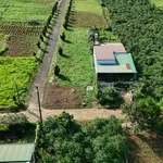 Bán đất thổ cư 153m² mặt tiền 12,5m Lộc Quảng giá 470 triệu - Ảnh thu nhỏ 3