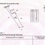 Bán đất 1200m2 mặt tiền 8m Châu Đức Nhà Bè - Ảnh thu nhỏ 3