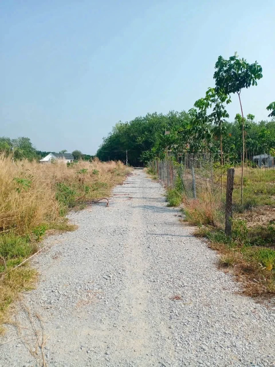 Bán đất nhánh Minh Thắng 250m² – 2 tỷ - Ảnh thu nhỏ 4