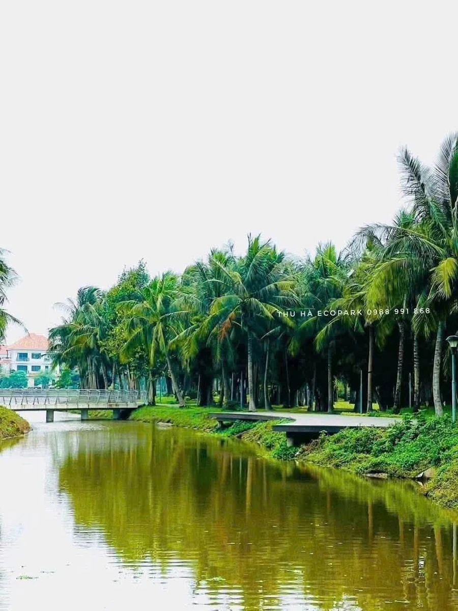 Bán căn góc 3PN 84m² tầng 8 view hồ Ecopark - Ảnh thu nhỏ 3