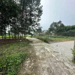 Bán lô đất 135m2 (50m2 thổ cư) giá hơn 600 triệu tại Khu 5, Hạ Hòa, Phú Thọ - Ảnh thu nhỏ 2