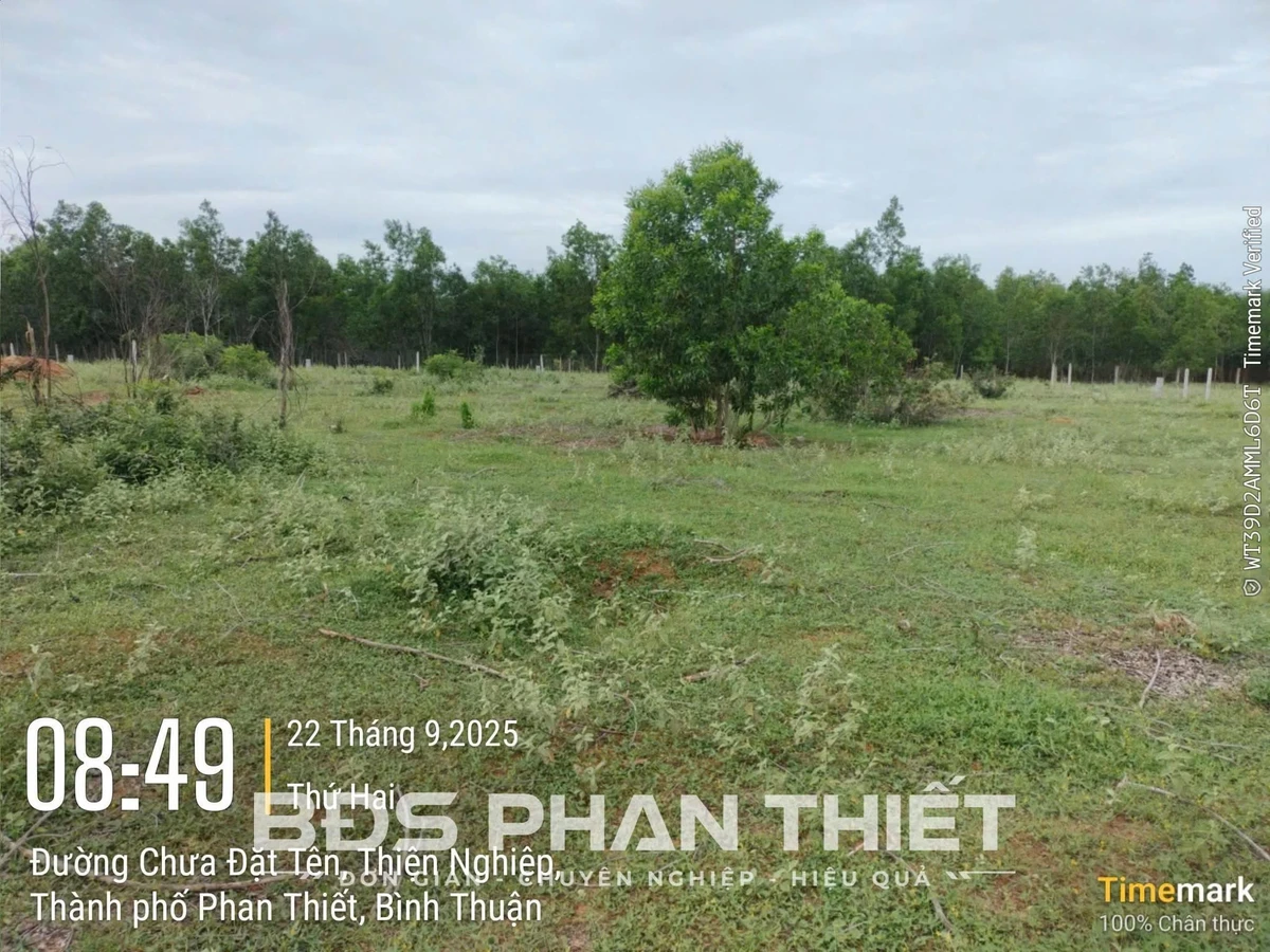 Bán đất mặt tiền Thiện Nghiệp 1000 m² Phan Thiết - Ảnh thu nhỏ 4