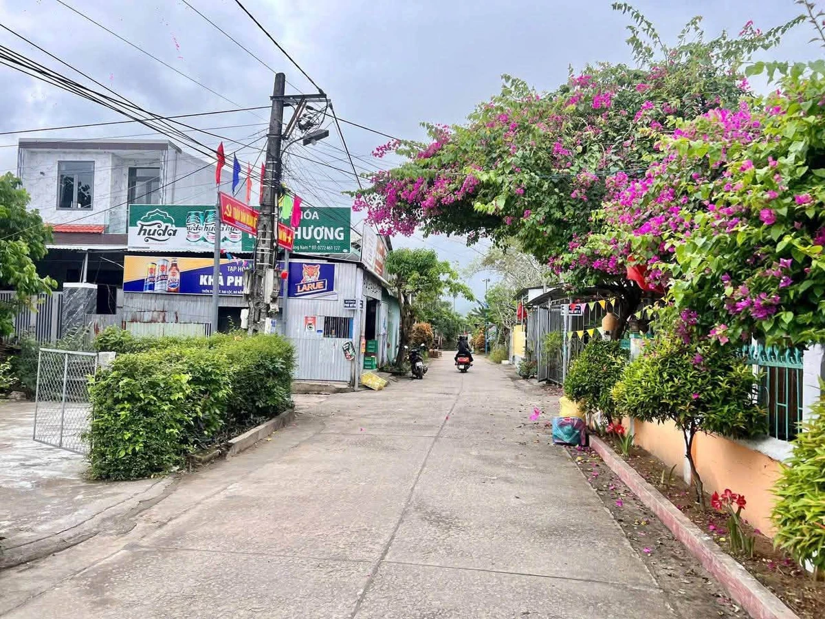 Bán lô đất 100m² tại Đại Hiệp, Đà Nẵng 700 triệu - Ảnh 1