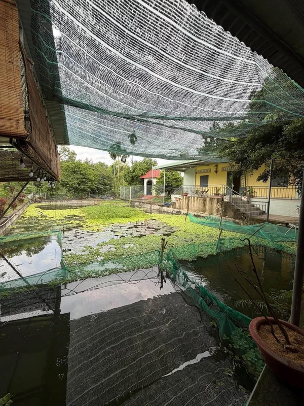 Bán đất view nghỉ dưỡng 2386m² sổ riêng Đồng Nai