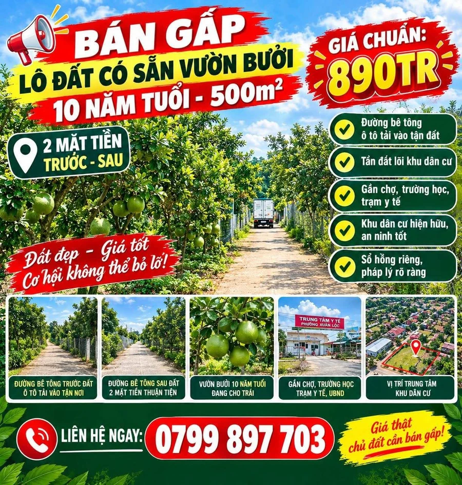 Bán vườn bưởi 500m² 890 triệu Phường Bảo Vinh - Ảnh 1