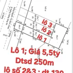 Bán 3 lô đất mặt tiền Nguyễn Thị Đành, Hóc Môn, 130-250m², từ 4,8 tỷ - Ảnh thu nhỏ 3