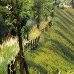 CHUYỂN NHƯỢNG QUỸ CĂN BIỆT THỰ RỪNG THÔNG VEN HỒ THANH XUÂN VALLEY TẤT CÁC PHÂN KHU GIÁ TỐT - Ảnh thu nhỏ 14