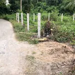 Bán đất thổ cư 6x19m đường nhựa gần chợ Sâm Bua, xã Song Lộc, Trà Vinh - Ảnh thu nhỏ 2