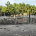 Bán đất nền 210m² mặt tiền Giồng Cà, Tây Ninh - Ảnh thu nhỏ 2