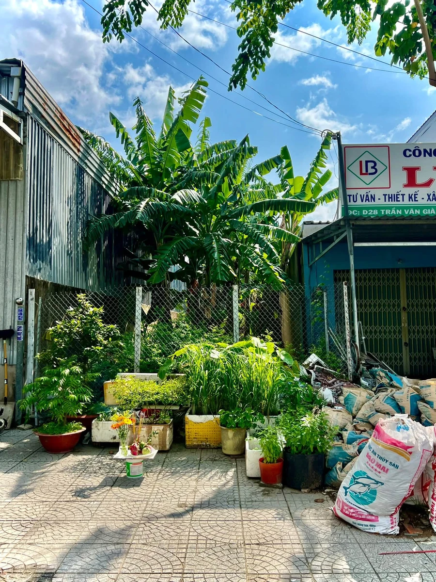 Bán nền mặt tiền 125m² Trần Văn Giàu, Rạch Giá, An Giang - Ảnh thu nhỏ 4