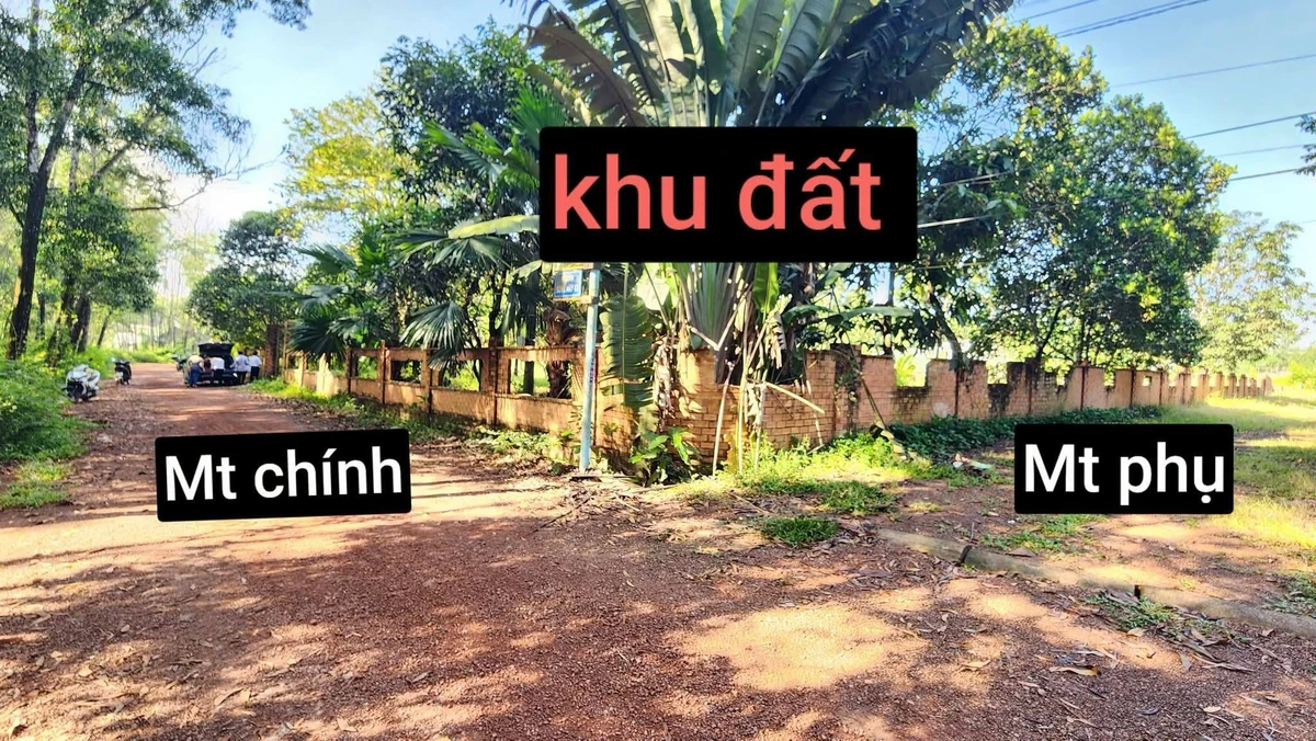 Bán đất nền Sông Mây Đồng Nai 103.5m² sổ riêng 900 triệu - Ảnh thu nhỏ 5