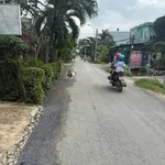 Bán gấp đất thổ cư mặt tiền đường Trần Thị Non, 7x33,6m, giá 3,3 tỷ, Bình Chánh - Ảnh thu nhỏ 1
