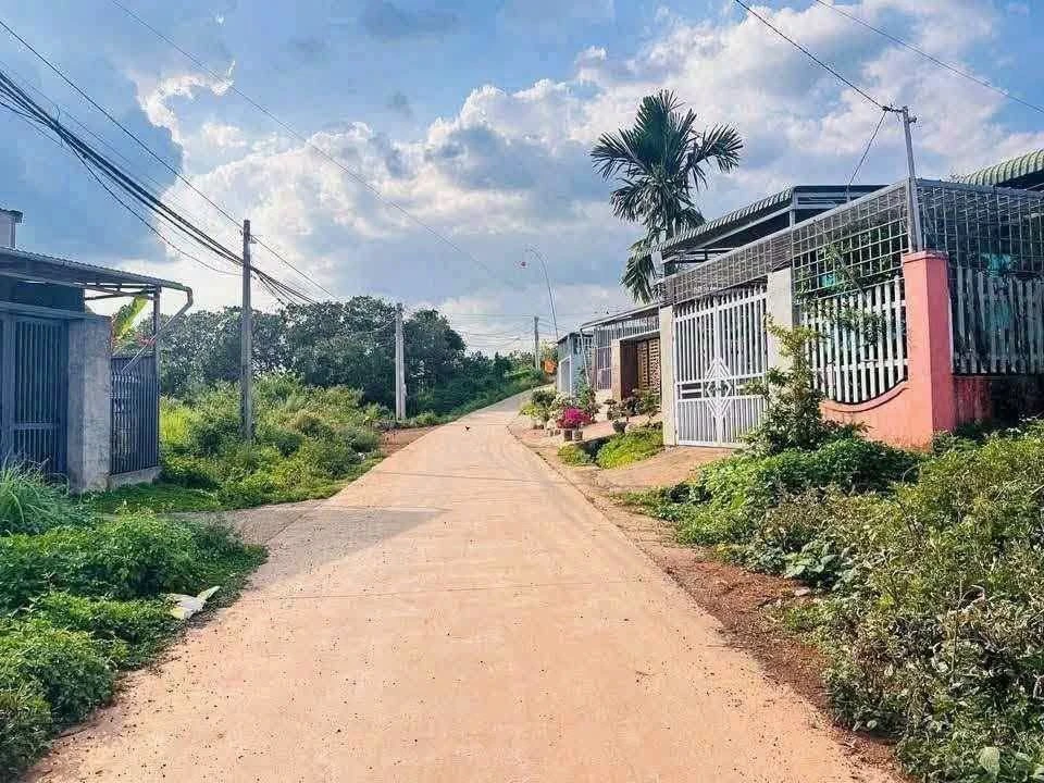 Bán đất thổ cư 50m² Phường Bắc Gia Nghĩa, Bình Dương 450 triệu - Ảnh 1