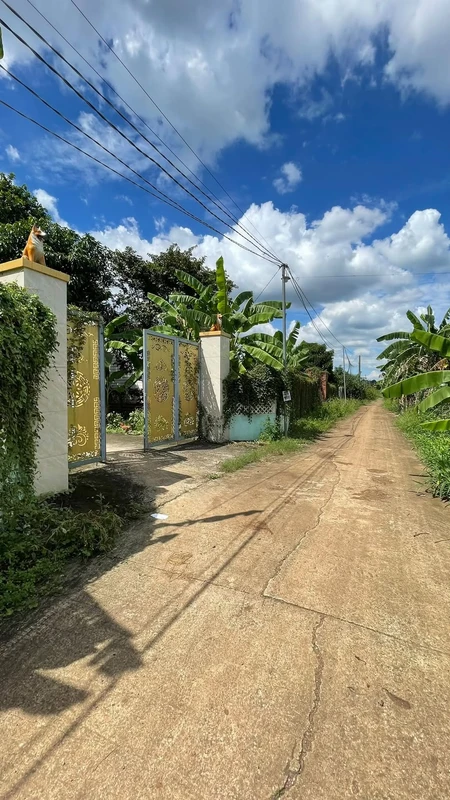 Bán đất 560m² làm biệt thự vườn Long Khánh