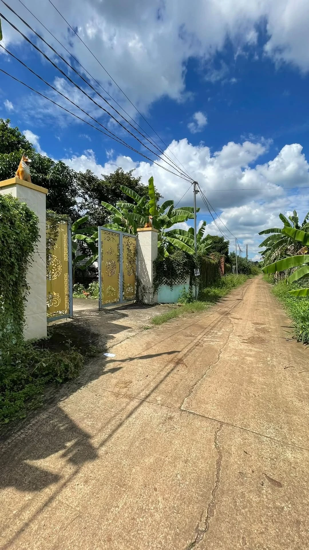 Bán đất 560m² làm biệt thự vườn Long Khánh - Ảnh 1