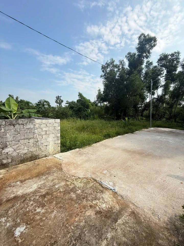 Bán đất Nghi Phú 53.6m2 mặt tiền 5.9m, 2 tỷ - Ảnh thu nhỏ 2
