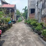 Bán đất 68m² Hòa Bình Thanh Miếu giá 1 tỷ - Ảnh thu nhỏ 5