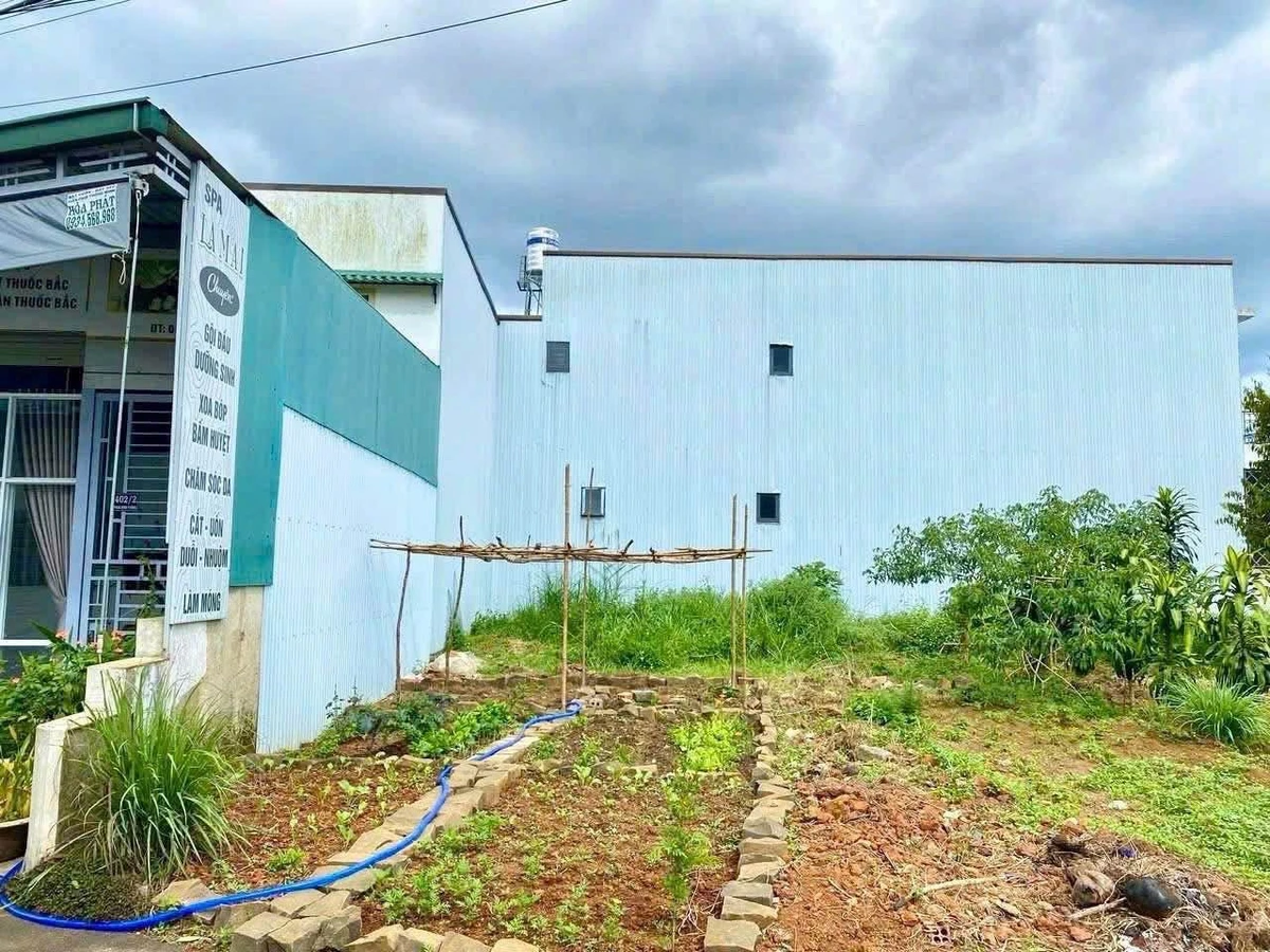 Bán đất mặt tiền 5x20m Phan Đình Phùng Bảo Lộc 1 tỷ 380 tr - Ảnh thu nhỏ 2