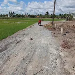 Bán lô đất tổ 5×25m (125m²) Mỹ Lệ, Cần Đước, Long An 600 triệu - Ảnh thu nhỏ 2