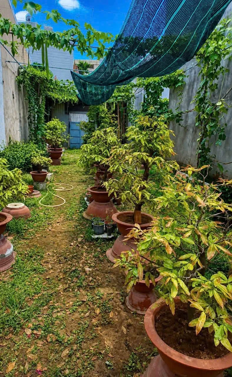 Bán đất 2 mặt tiền 146m2 khu cư xá giáo viên gần trường Trấn Biên, Phường Tam Hiệp - Ảnh thu nhỏ 4