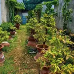 Bán đất 2 mặt tiền 146m2 khu cư xá giáo viên gần trường Trấn Biên, Phường Tam Hiệp - Ảnh thu nhỏ 4