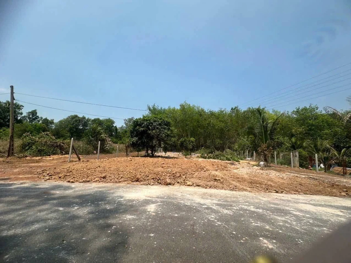 Bán đất 850m2 mặt tiền đường nhựa 8m tại Phường Long Nguyên, Bàu Bàng cũ - Ảnh thu nhỏ 2