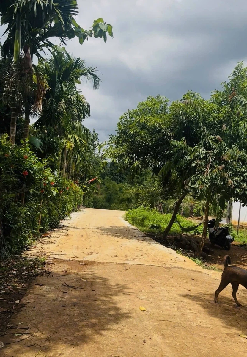 Bán đất Ea Kao, Đắk Lắk 600m² view hồ 480 triệu - Ảnh thu nhỏ 2