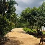 Bán đất Ea Kao, Đắk Lắk 600m² view hồ 480 triệu - Ảnh thu nhỏ 2