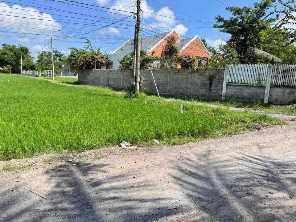 Bán đất nền 135m² gần Nhựa Bàu Sen, Bình Chánh - Ảnh thu nhỏ 3