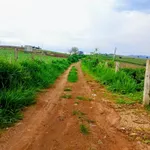 Bán đất 13.000m² Đức Trọng, Lâm Đồng, sổ hồng - Ảnh thu nhỏ 1