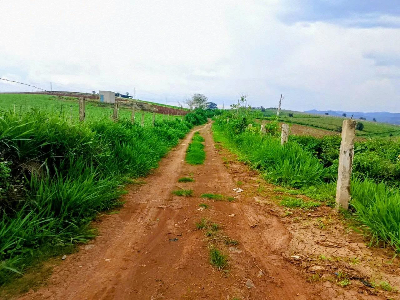 Bán đất 13.000m² Đức Trọng, Lâm Đồng, sổ hồng - Ảnh 1