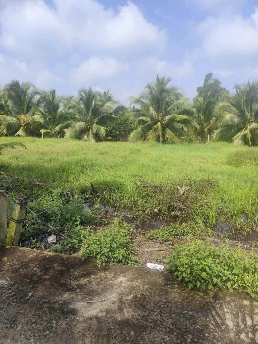 Bán đất Phú An Hòa 79m² giá 255 triệu - Ảnh thu nhỏ 2