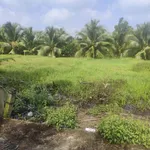 Bán đất Phú An Hòa 79m² giá 255 triệu - Ảnh thu nhỏ 2