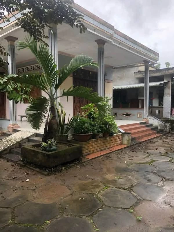 Bán đất 947m² tại Tam Phước, Bến Tre, 1 tỷ 600 triệu - Ảnh 1