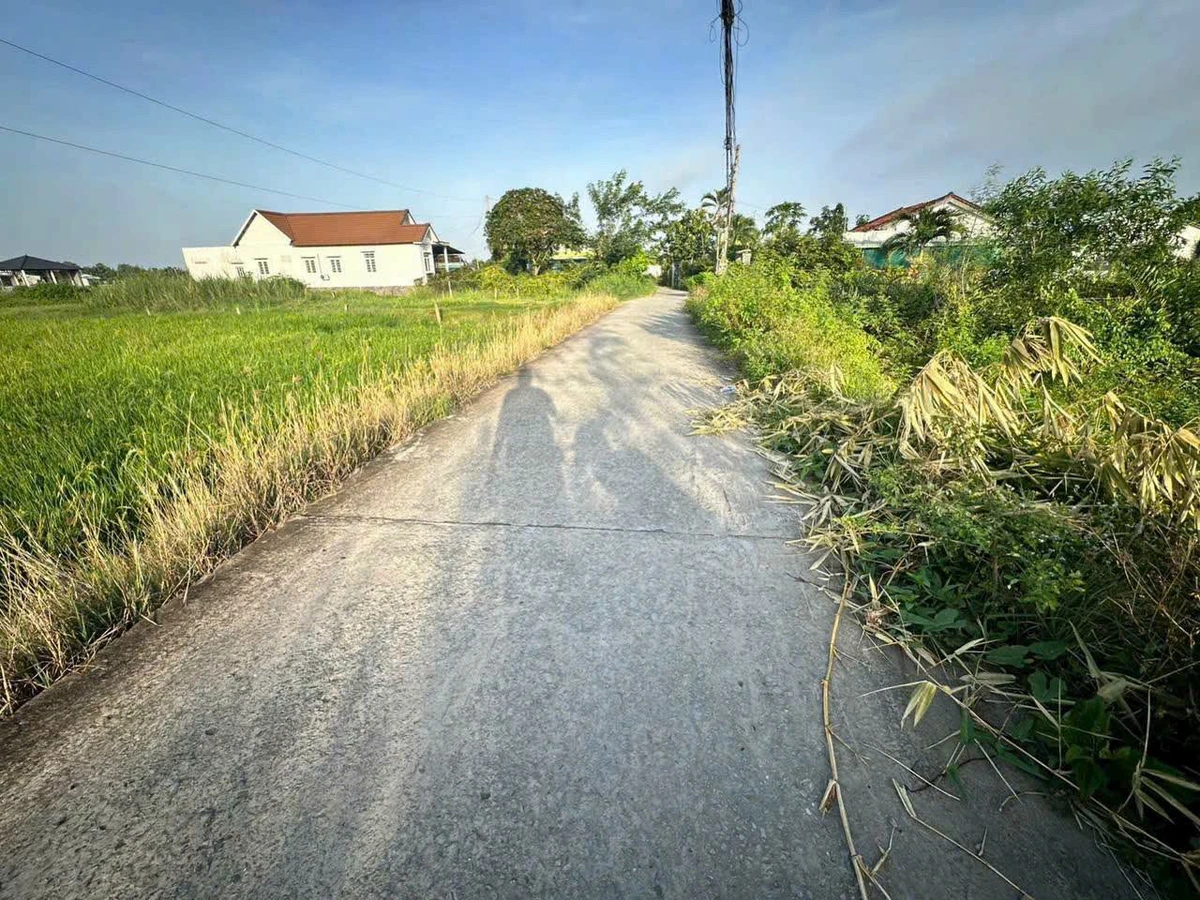 Bán lô đất 1990m² có thổ cư tại Bến Lức, Long An - Ảnh thu nhỏ 2