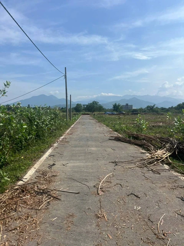Bán đất Diên Hòa 169,3m² mặt tiền đường 650 triệu