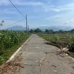 Bán đất Diên Hòa 169,3m² mặt tiền đường 650 triệu - Ảnh thu nhỏ 1