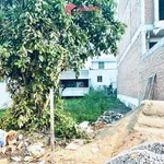 Bán đất nền 108m2 KĐT Bạch Đăng, đường số N13, Cà Mau giá 850 triệu - Ảnh thu nhỏ 2