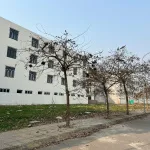 Bán đất nền giá tốt, 1,6 tỷ, 85m2 ở Quốc lộ 32, Tam Nông, Phú Thọ - Ảnh thu nhỏ 8