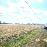 Bán đất nền liền kề 5x25m thổ cư 100% sổ hồng riêng gần Cát Tường Phú Sinh, Đức Hòa, Tây Ninh - Ảnh thu nhỏ 3