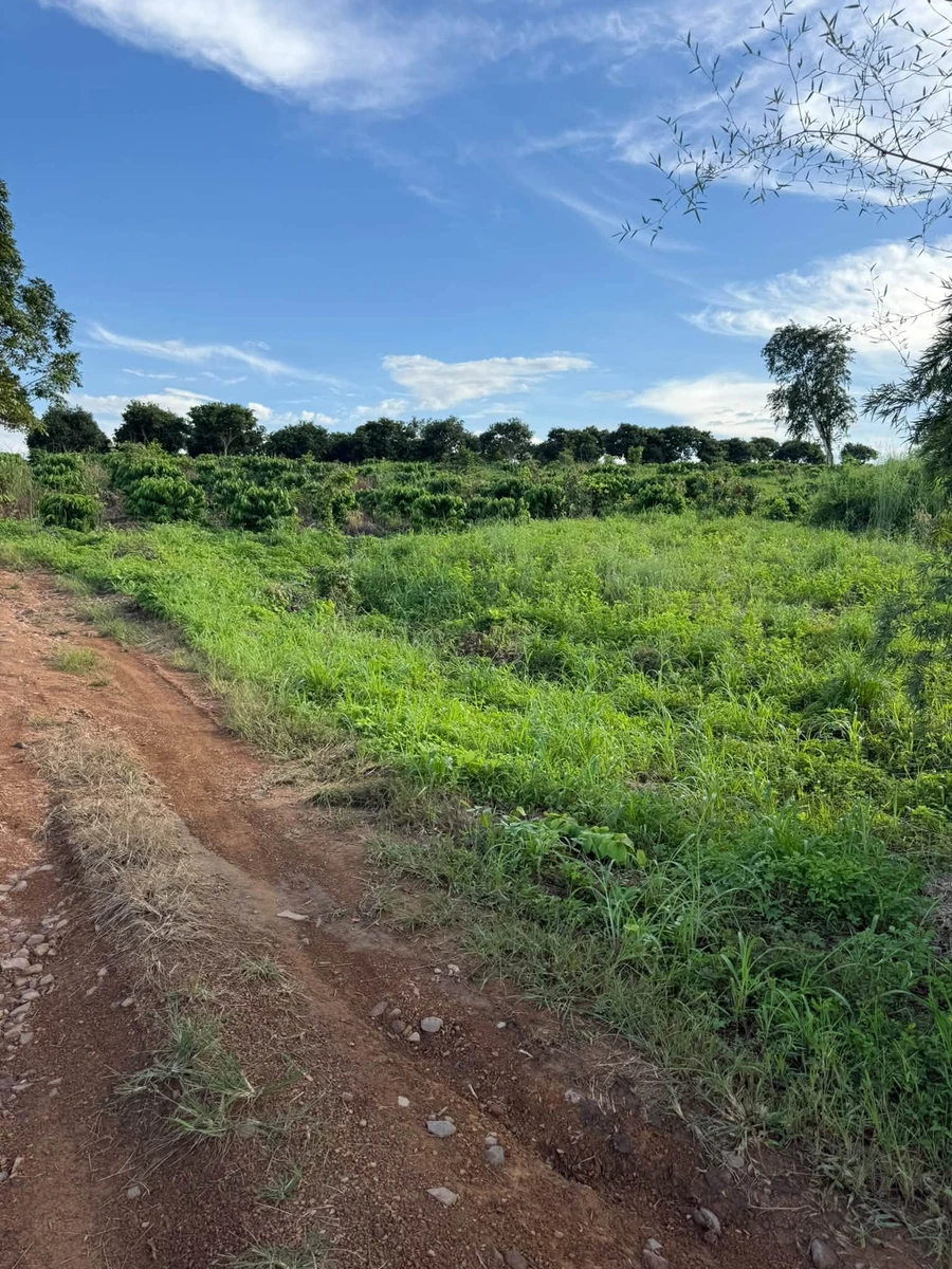 Bán 10 ha đất có 4 ha cà phê, Ea Súp, Đắk Lắk - Ảnh thu nhỏ 2